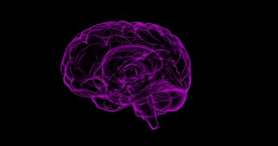 fioletowy mózg